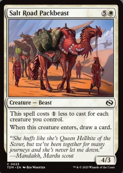 Salt Road Packbeast